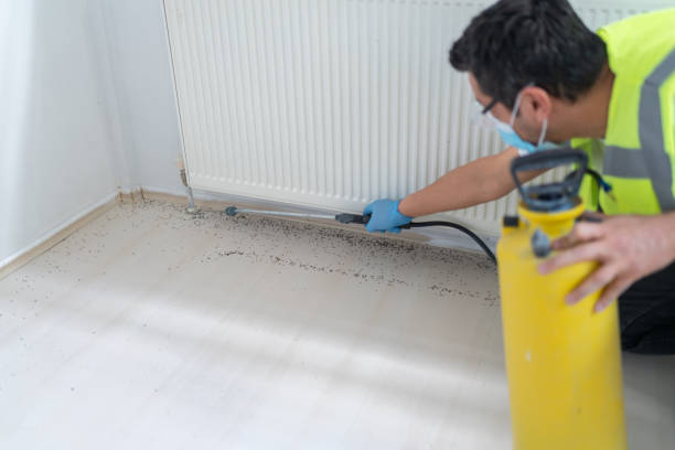 Best Bed Bug Extermination  in Salem Heights, OH