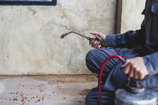 Best Rat Extermination Near Me  in Salem Heights, OH